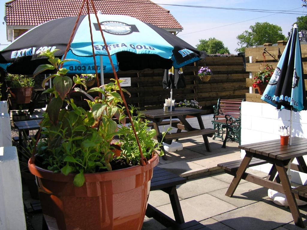 The Robertson Arms Hotel Carnwath Exteriör bild