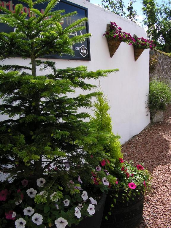 The Robertson Arms Hotel Carnwath Exteriör bild
